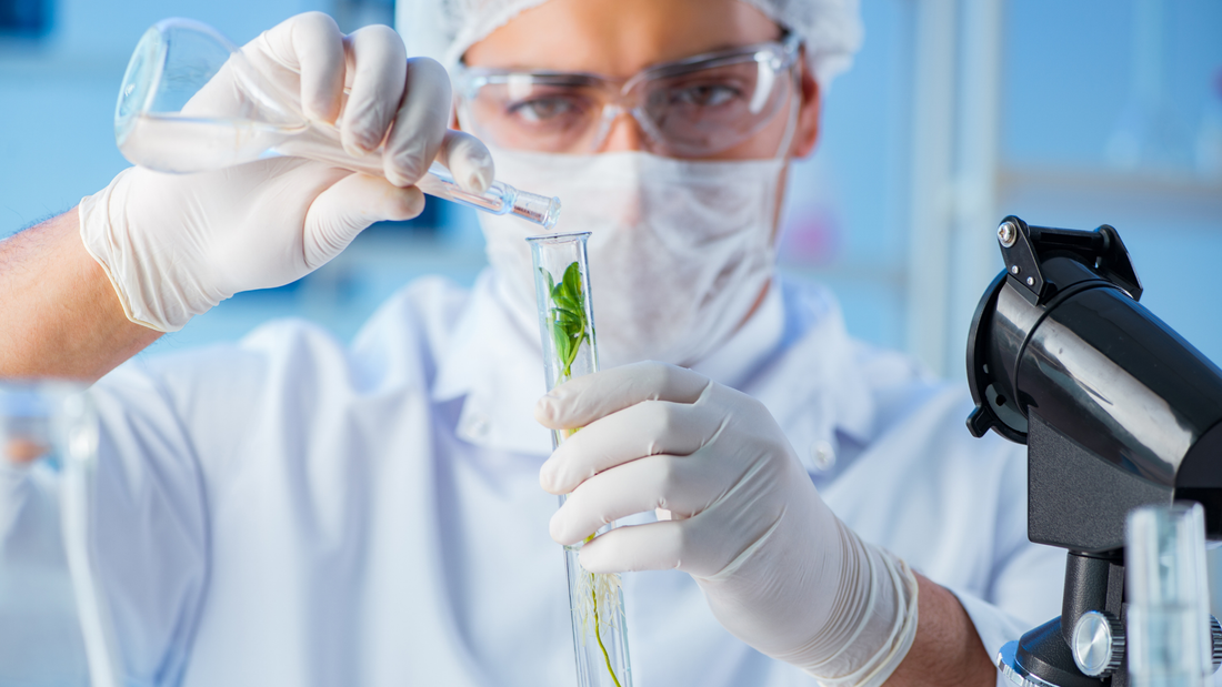 Seed vs. Series A: Funding Stages in Biotech