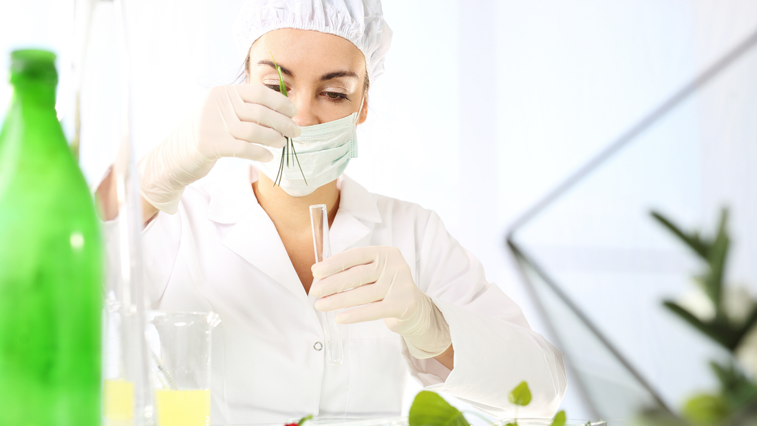 Public vs. Private Funding in Biotech: What You Need to Know