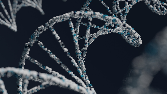 What Is a Biotech Venture Capital?