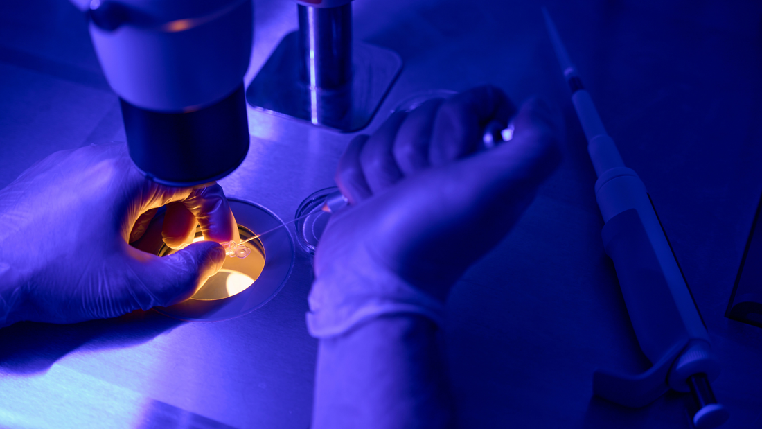Beyond Venture Capital: Alternative Funding Options for Biotechs