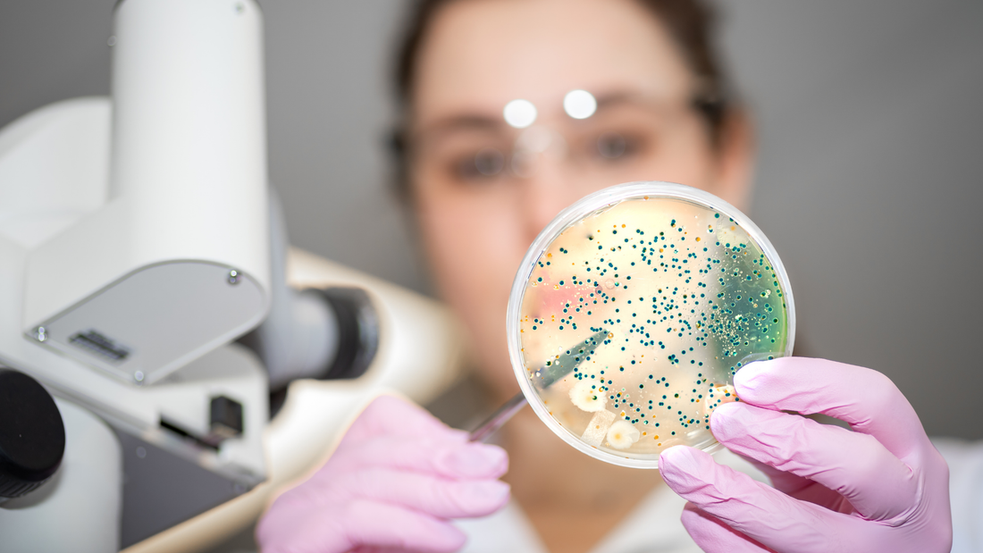 The Silent Killer in Biotech VC Deals: How Dilution Creeps Post-Series B