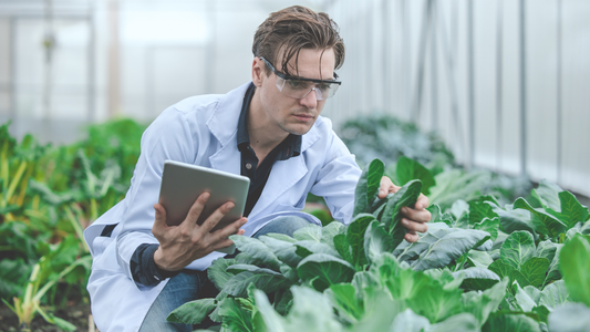 AgTech Funding: Why VCs Are Betting Big on the Future of Agriculture
