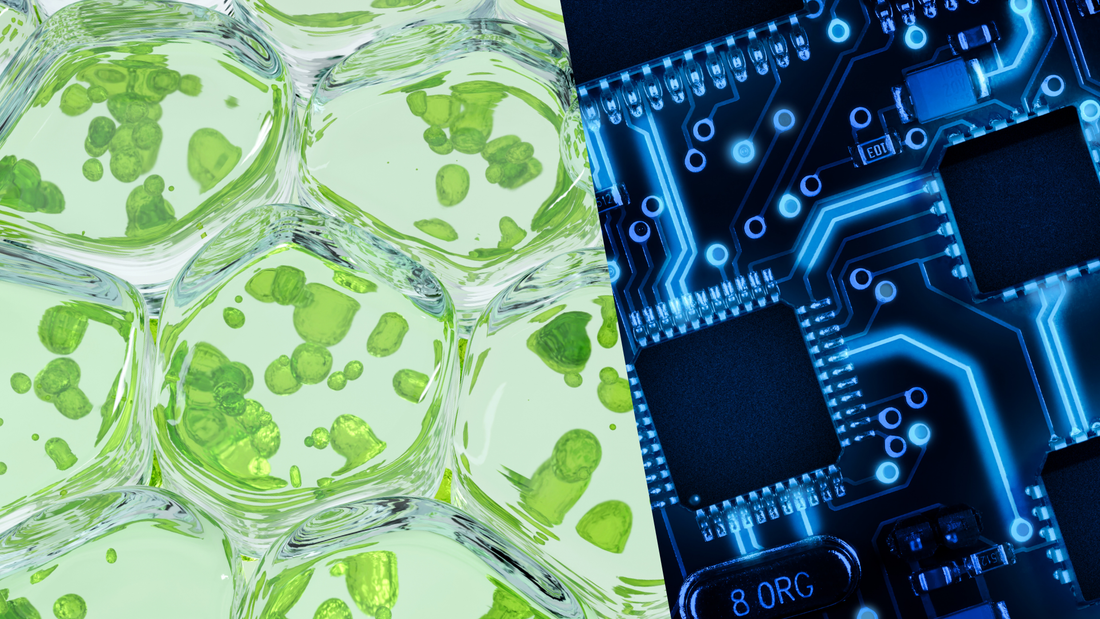 Biotech Seed Funding vs. Tech Startups: Why the Rules Are Different