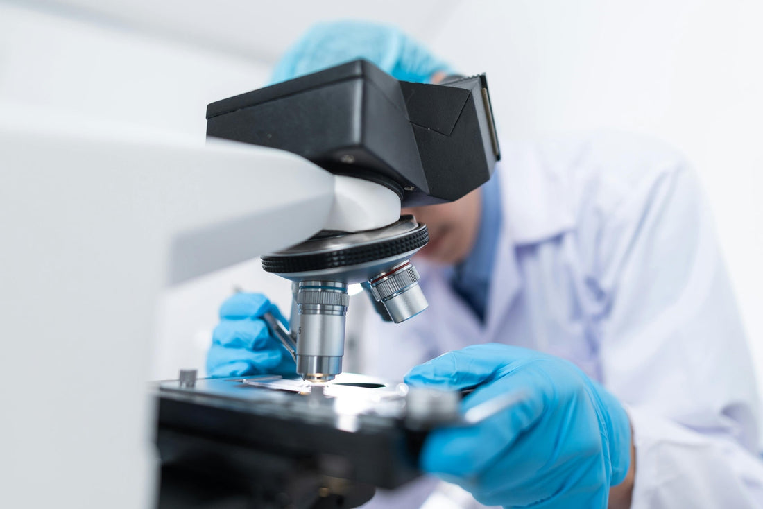 Biotech Investment Stages: Early vs. Late Funding Guide