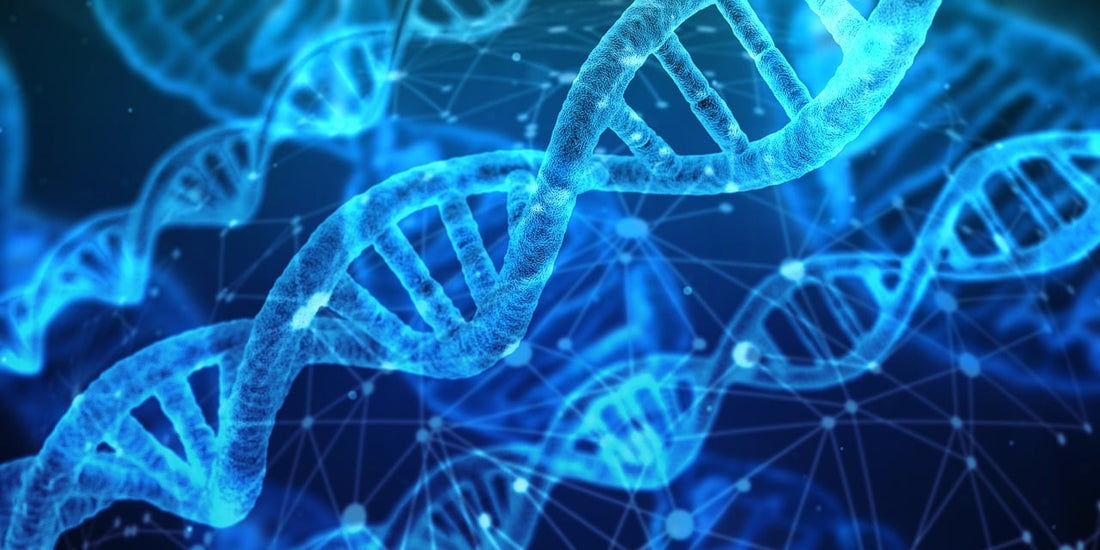 Strategic Guide to Biotech Investment Opportunities