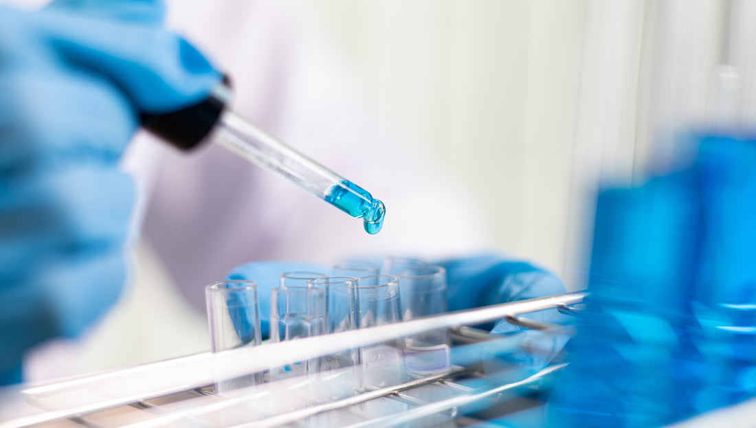 From Lab to Launch: Mastering Seed Funding for Biotech Startups