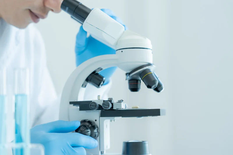 How to Build a Biotech Stock Portfolio: Key Steps and Strategy Guide