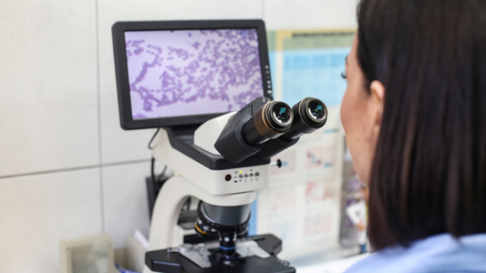 Quality Control and Data Ownership in Biotech CRO Agreements: Ensuring Standards and Access Rights