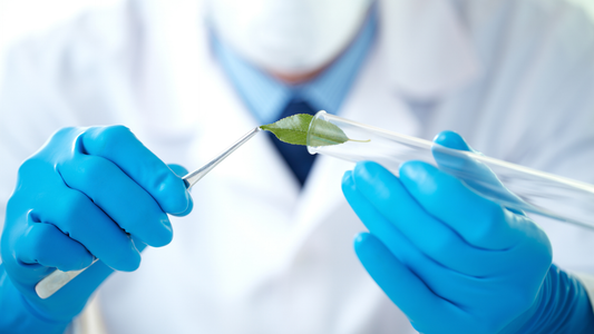 SBIR and STTR Grants for Biotech Founders: Application Timeline and Eligibility Requirements