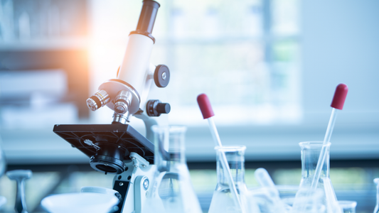 Biotech Term Sheet Fundamentals: Understanding Valuation, Amount, and Key Economic Terms