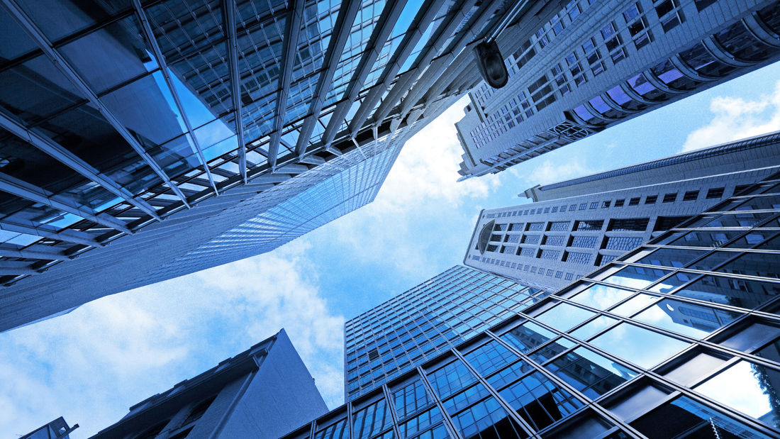 Due Diligence FTO Requirements for Biotech Fundraising: What Investors Expect to See