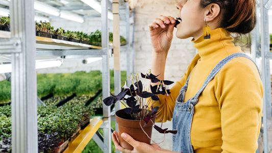 Inside the AgriTech Pitch: What VCs Want to Hear