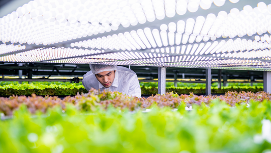 How AgTech Founders Can Build Investor-Ready Business Models