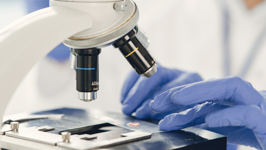 Biotech Patent Prosecution History Review: Using File Wrapper Analysis to Assess FTO Risks