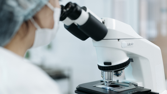 Biotech Patent Clearance Strategy: Balancing Thoroughness with Early-Stage Resource Constraints