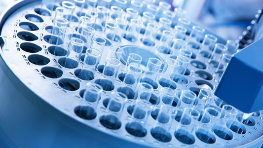 The Lifecycle of a Biotech Venture Capital Investment