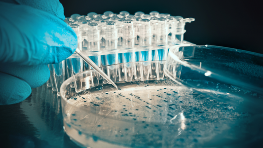 How Biotech Startups Secure Venture Capital Investment