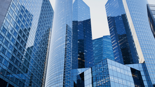 How to Impress a Biotech VC as an Analyst Candidate