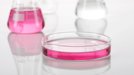 Dilution Modeling for Biotech Founders: How to Project Ownership Through Multiple Rounds