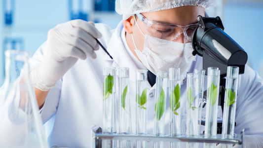 IP Assignment Clauses in Biotech Employment Contracts: Protecting Company Inventions from Day One