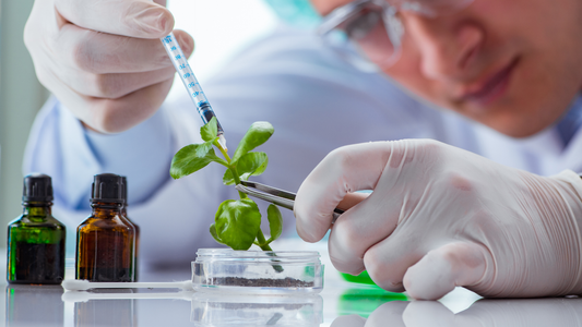 Equity, Dilution & Risk: Biotech Funding Basics for Founders
