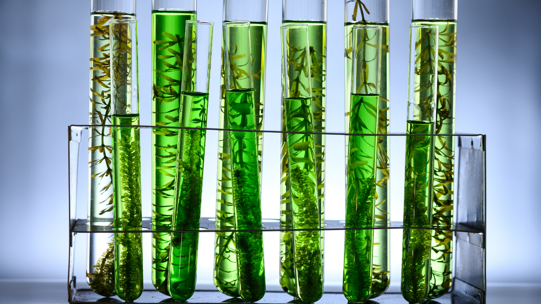 Post-Award Grant Management for Biotech: Reporting Requirements and Milestone Compliance