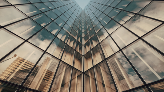 Redemption Rights in Biotech Term Sheets: When Investors Can Force Company Buybacks