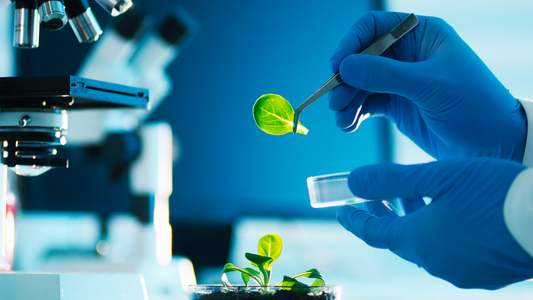 From Seed to Series B: Stages of Biotech Funding