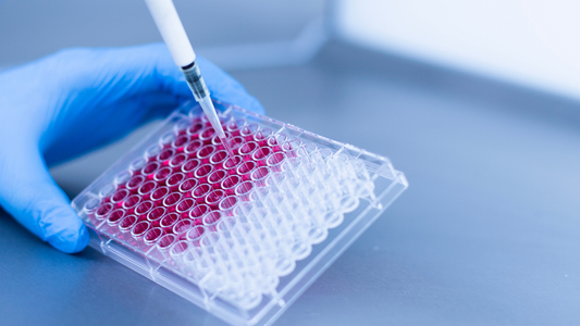 Preliminary Data Requirements for Biotech Grants: Generating Feasibility Evidence on Limited Budgets