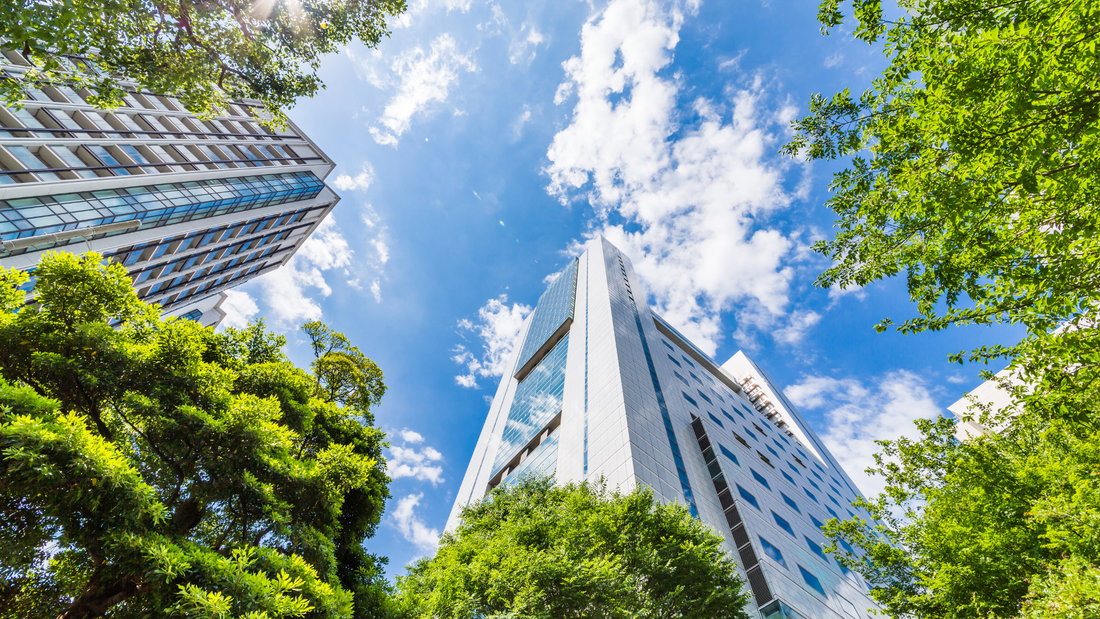 How to Structure Decision-Making Authority in an Early Biotech Company