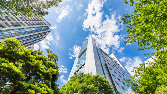 How to Structure Decision-Making Authority in an Early Biotech Company