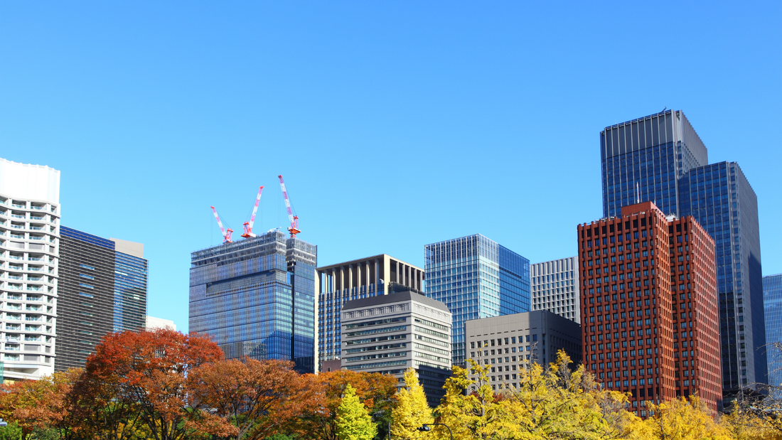 When to Incorporate in Delaware for a Biotech Startup: Timing and Practical Steps