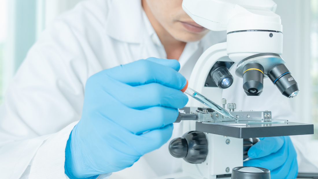 Key Criteria Biotech Venture Capitalists Use to Evaluate Your Startup