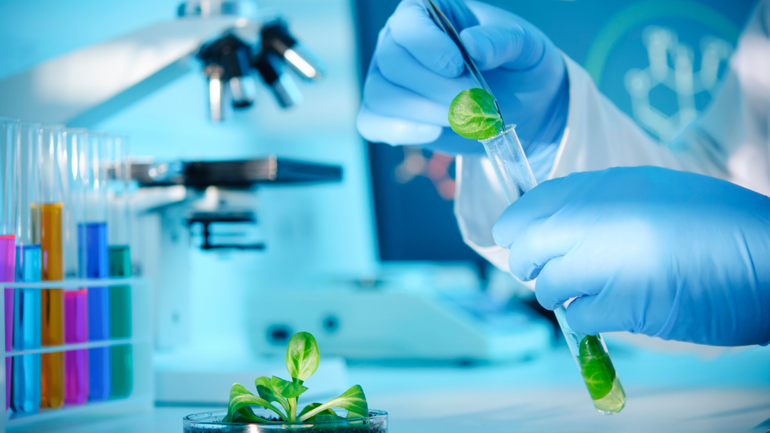 Collaborative Grant Applications in Biotech: Partnering with Academic Institutions for Funding
