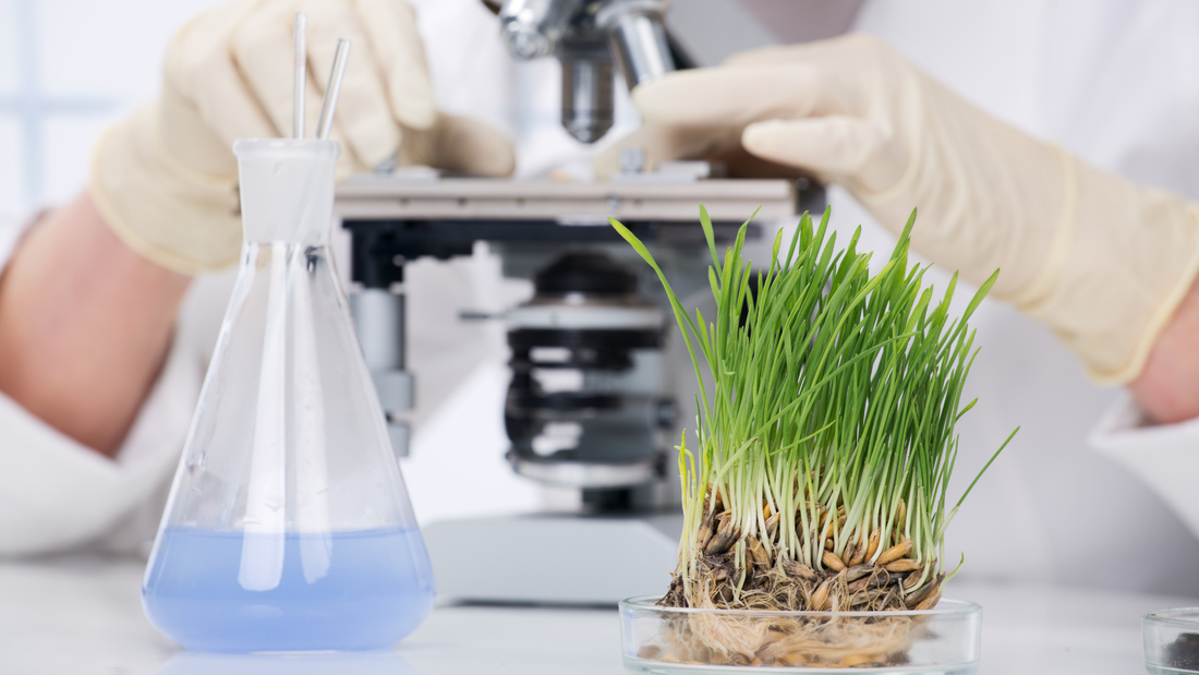 Equity Offer Negotiation in Biotech Hiring: Balancing Cash Constraints with Competitive Packages