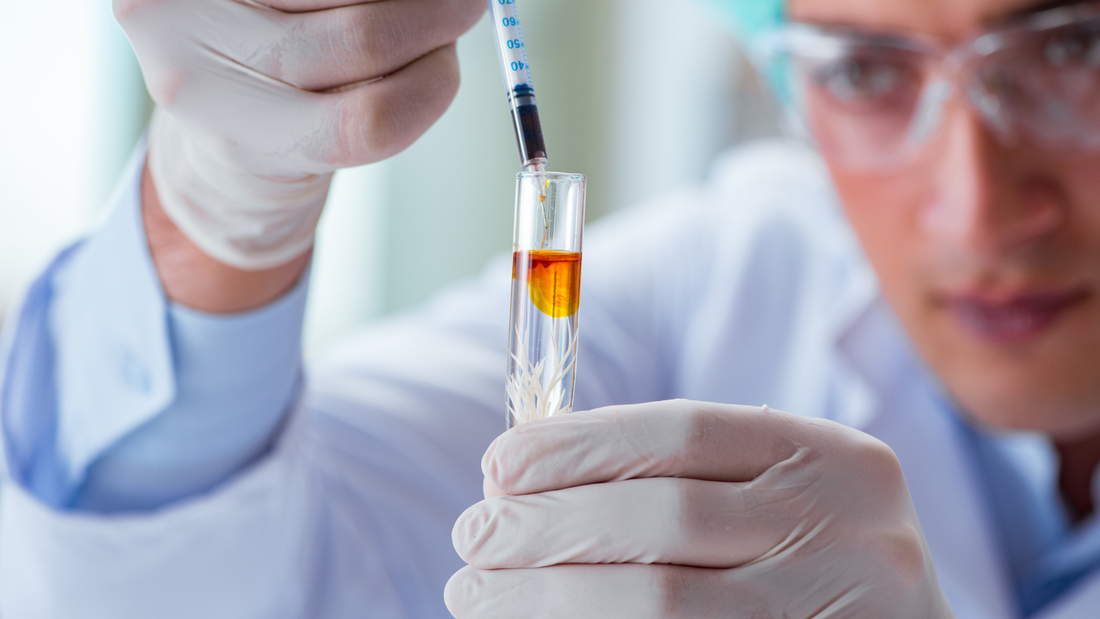 Provisional Patent Applications in Biotech: When to File Before Full Patent Prosecution