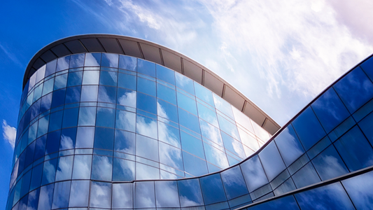 Restricted Stock vs Stock Options in Biotech: How Vesting and 83(b) Apply Differently