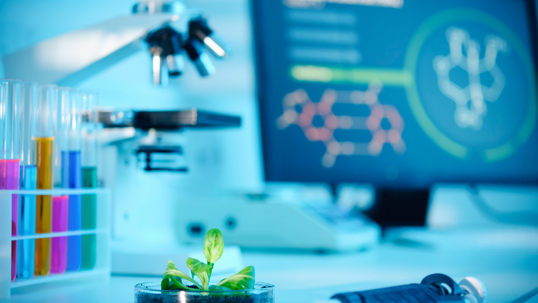 Biotech’s Black Box: Valuing Pre-Clinical Companies Without Revenue or Data
