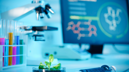 Biotech’s Black Box: Valuing Pre-Clinical Companies Without Revenue or Data