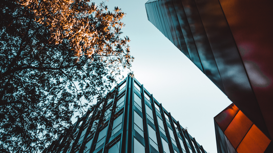 Vesting Schedules in Biotech Startups: Standard 4-Year Structures and When to Deviate