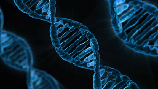 How to Contact a Pharmaceutical Company BD Team for Partnering